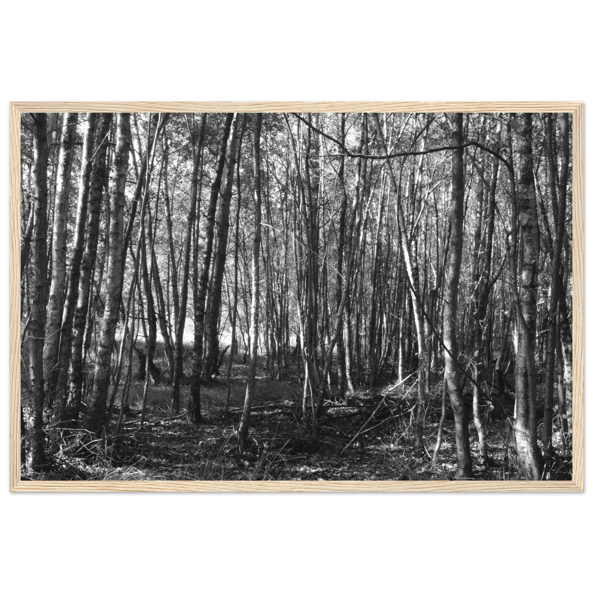 0df68cec-6f25-4488-8cb7-c543205057b2