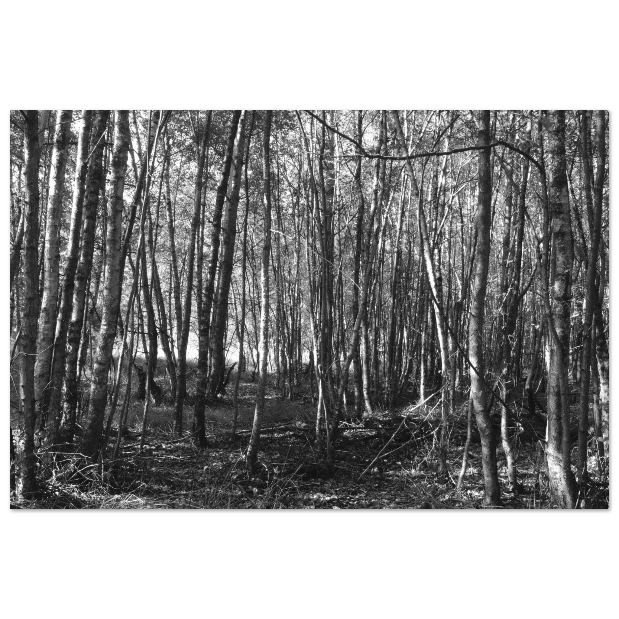 584f8de7-9cd1-4234-96af-714ad40afa23