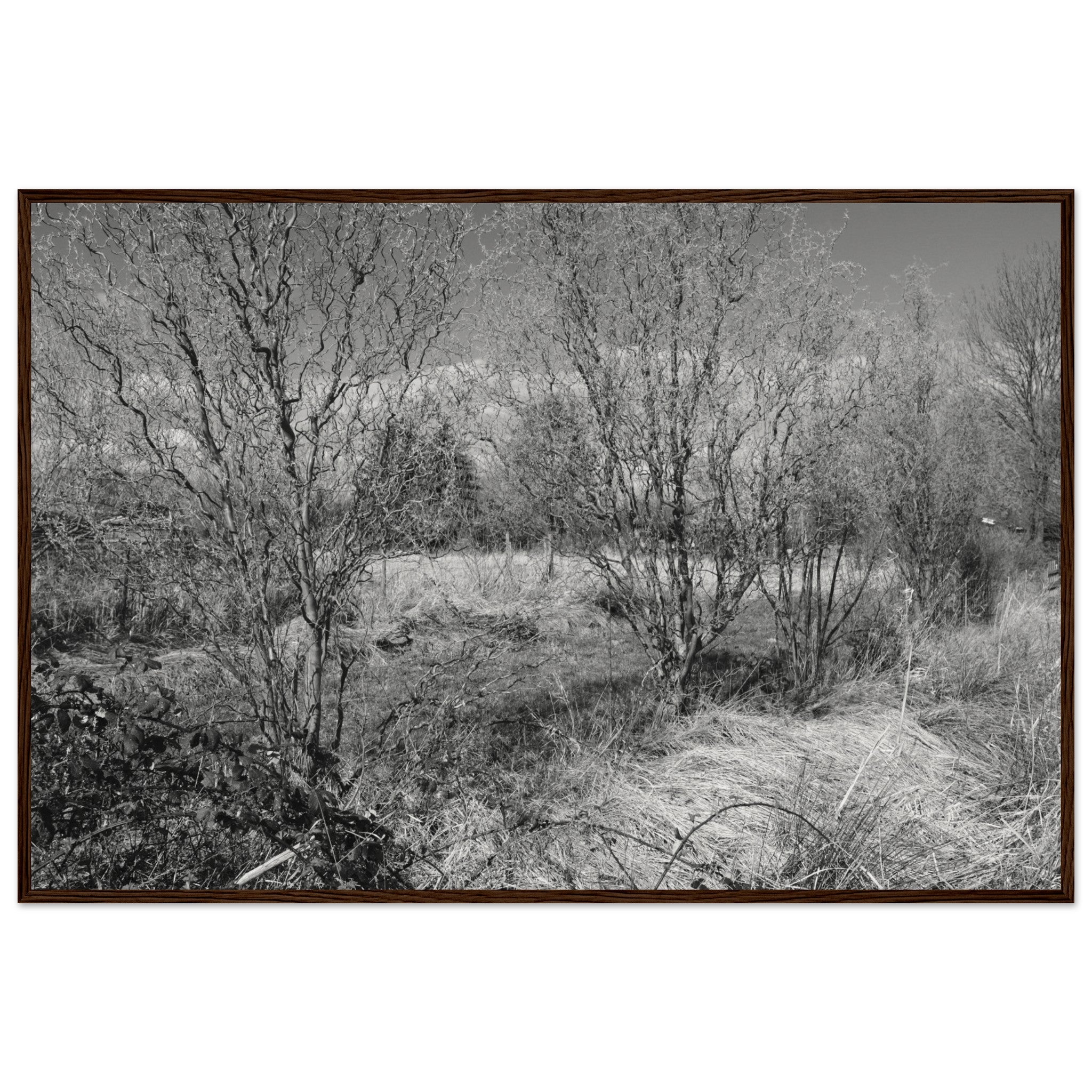 9fa418b1-7fdc-4aad-8e04-4d233fad08df