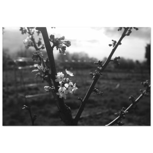 a8f61913-a71e-4a38-b05b-d801645c6917