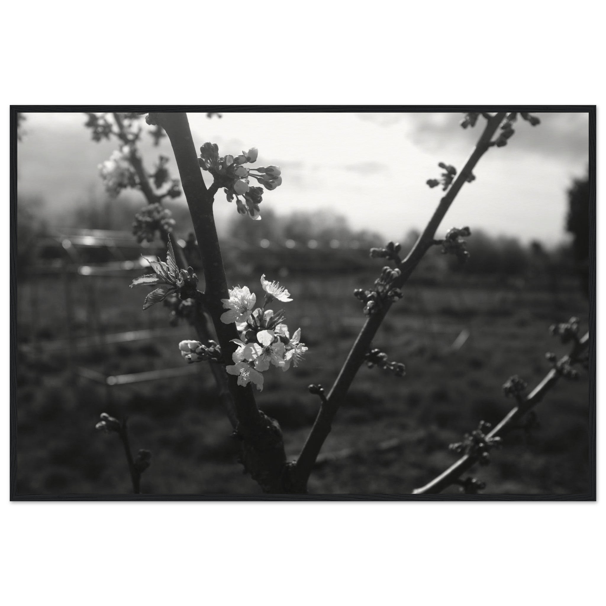 d4e49927-9003-4dbf-b3fa-fbd3480bfa0d