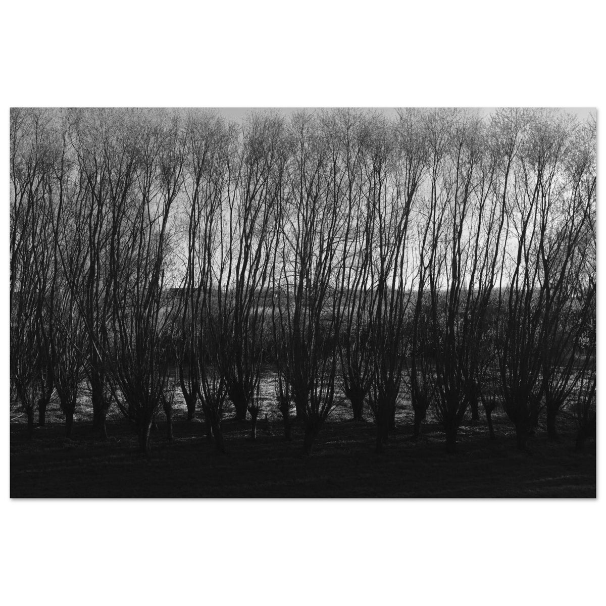 f02588b7-757d-4806-b87b-d788b4e7770f